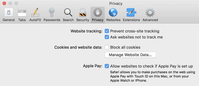 Spotting Apple Pay enabled - Safari privacy & security settings