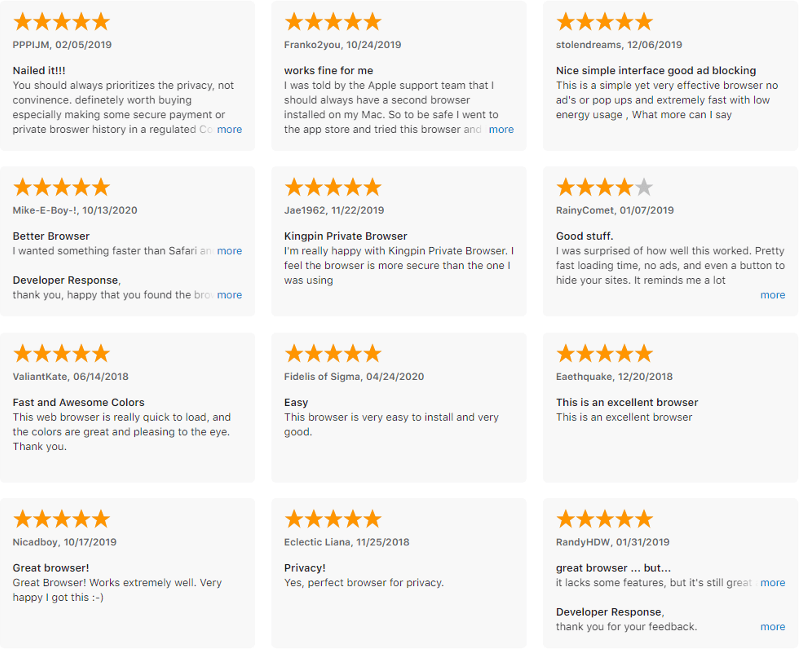 Kingping Private Browser ratings on Apple Store