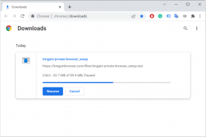 How to unblock downloads in Chrome (Is it a good idea?) | Kingpin